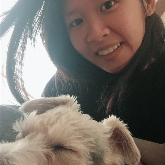 Meet your Posher, Miao chien - Picture 1 of 1